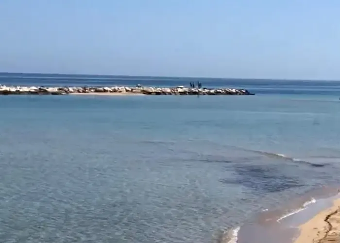 Interno 9 بيت ضيافة